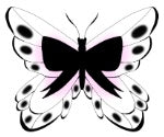 MARACHINI